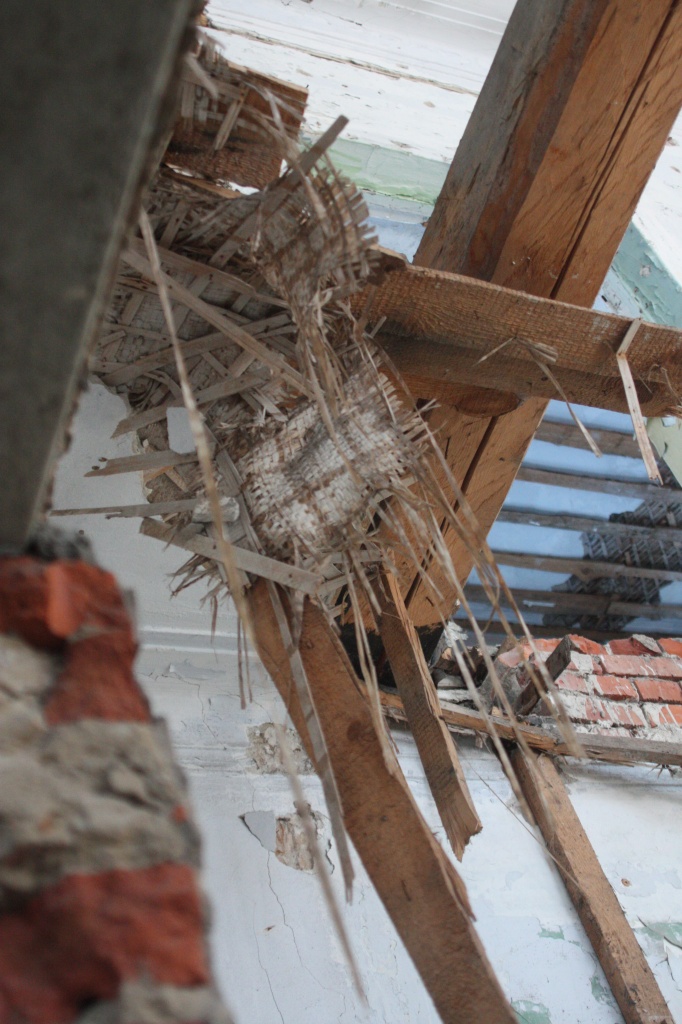 IMG_3878-2.jpg IMG_3878-2.jpg