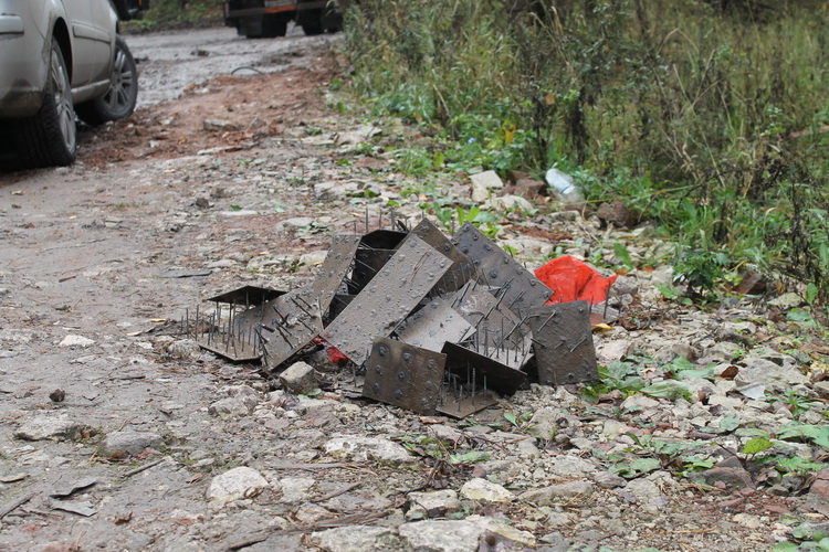 ежи.jpg ежи.jpg