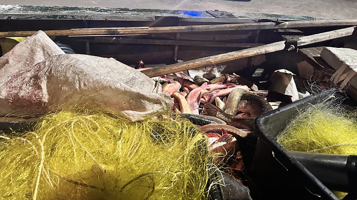 Каждого из браконьеров, ловивших рыбу в Оке сетями, оштрафовали на полмиллиона