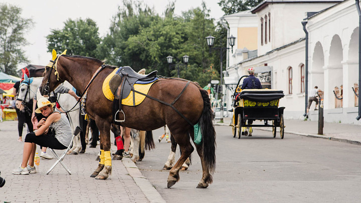 Суздальские власти пытаются упорядочить движение конных экипажей в городе-музее